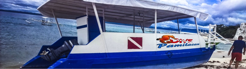 Dive Pamilacan, Dive Boat, Philippines, white beach, Protec Philippines